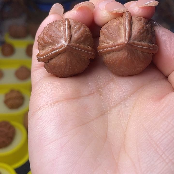 吊坠文玩核桃奔奔