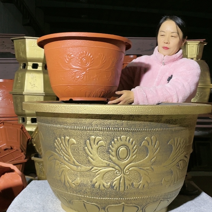 圆盆红色五零两个