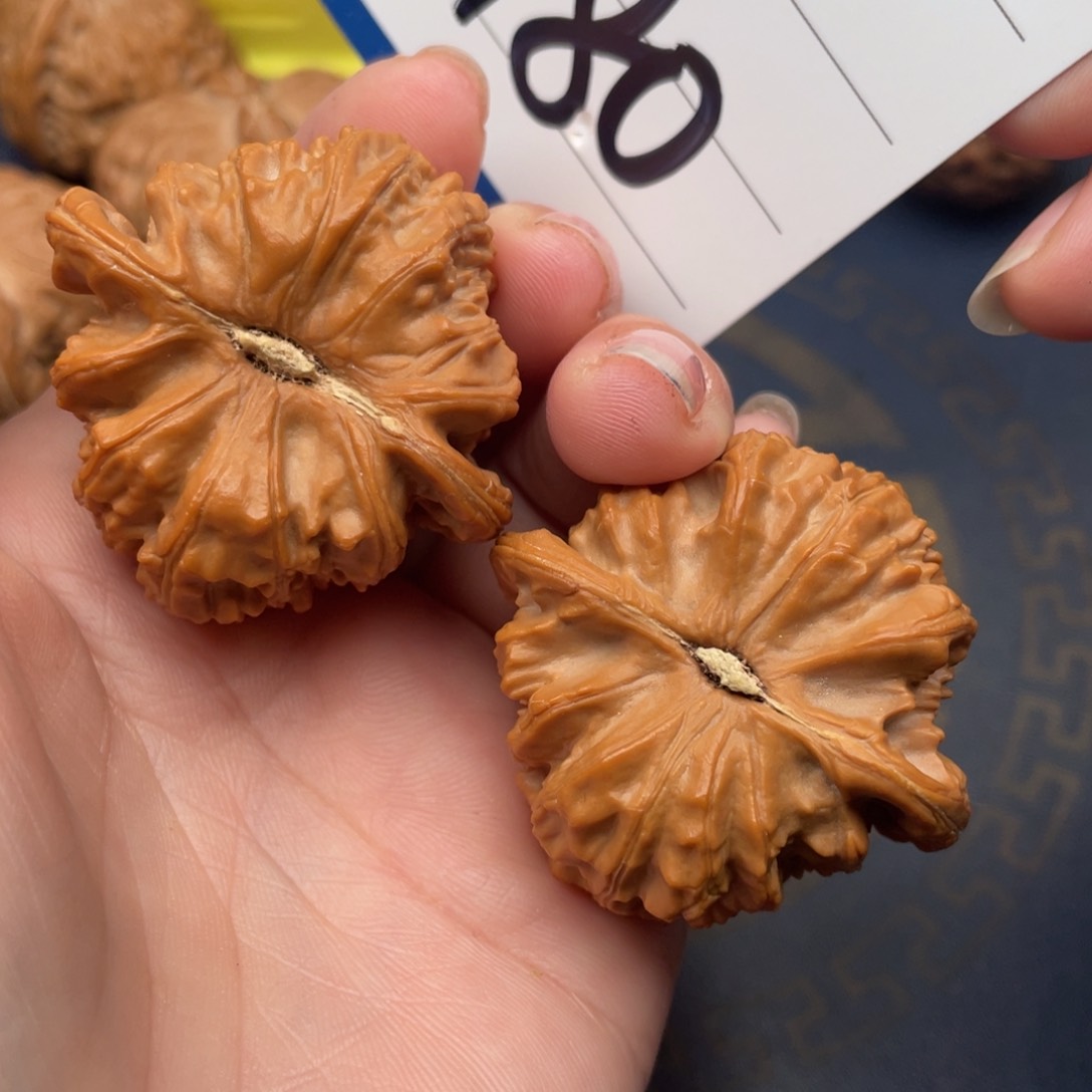 文玩核桃把件沐****下白狮子41