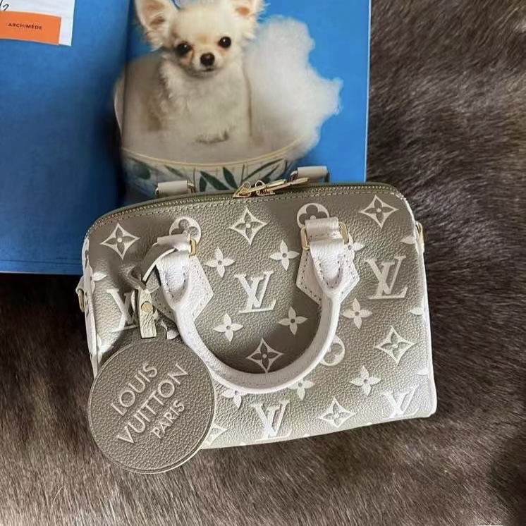 95新 LouisVuitton/路易威登 lvspeedy20春日之城芯片款11953455