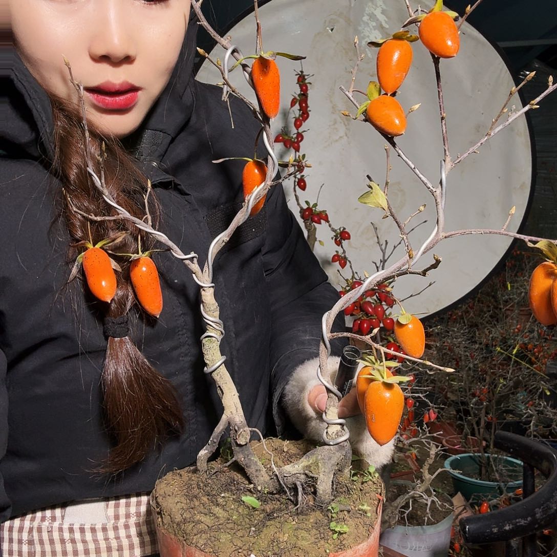 用***4完全开放老鸭柿子