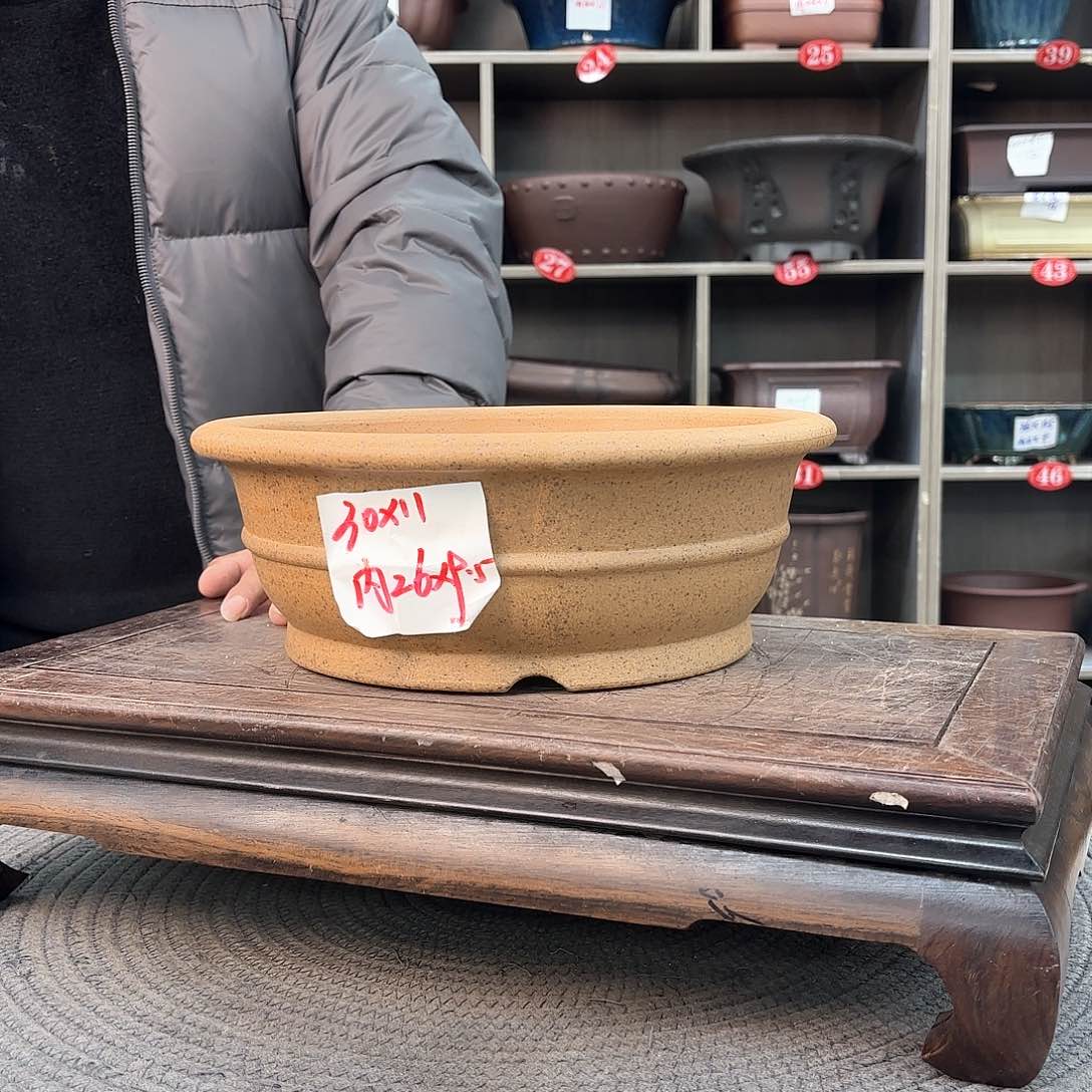 紫砂花盆友*紫砂的味道很好