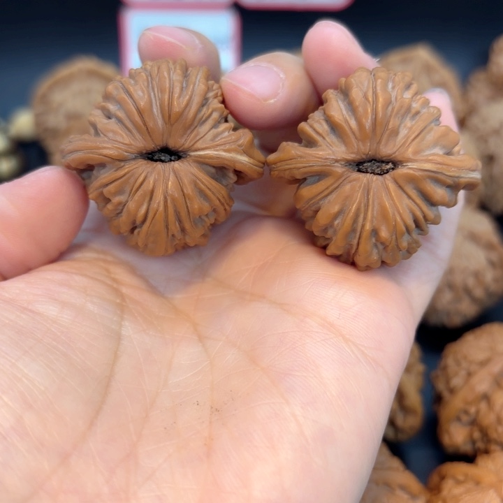 38四座楼全品无修全品无修