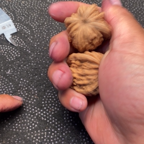 文玩核桃把件西楼5.5