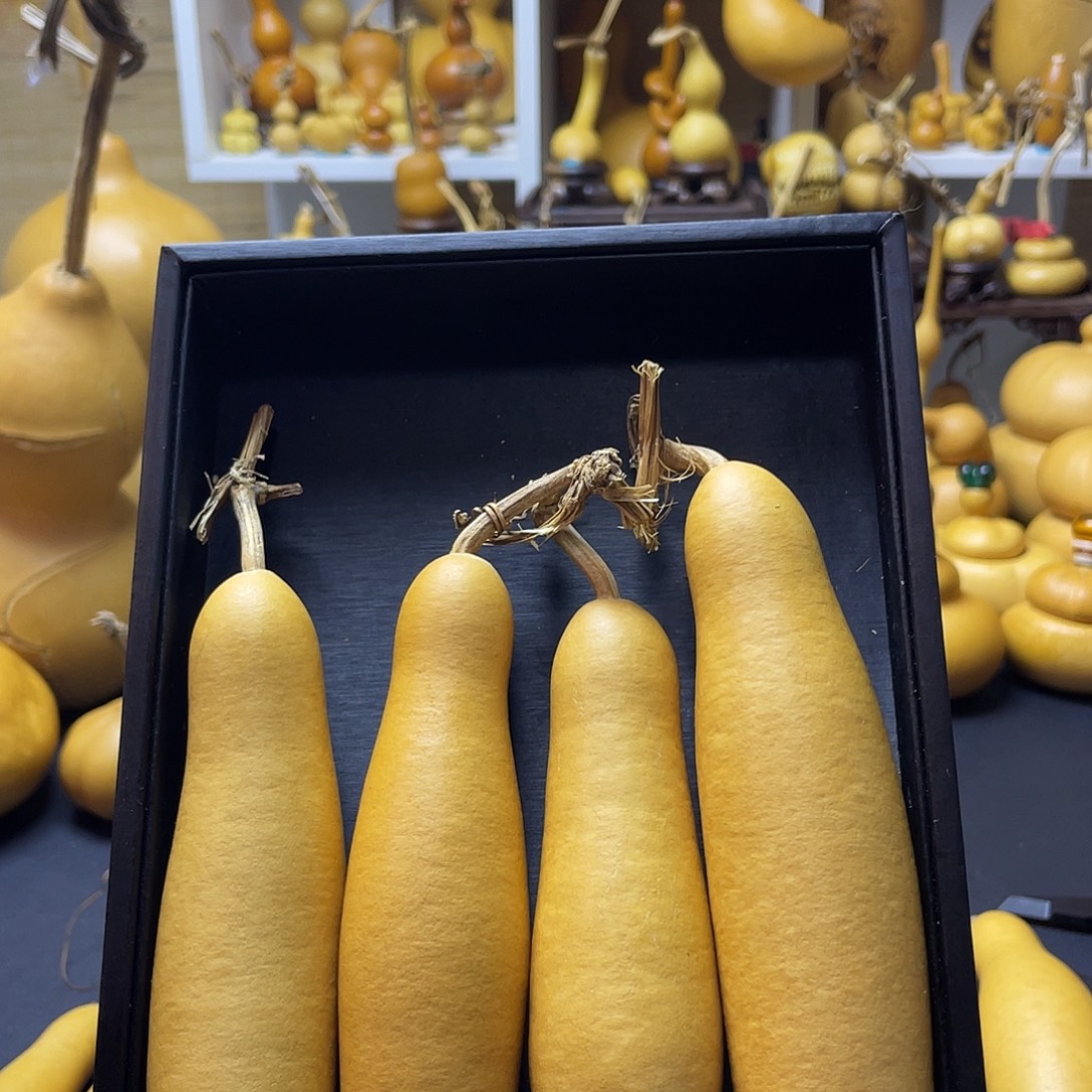 用***8大叶紫檀（黑酸枝木类）