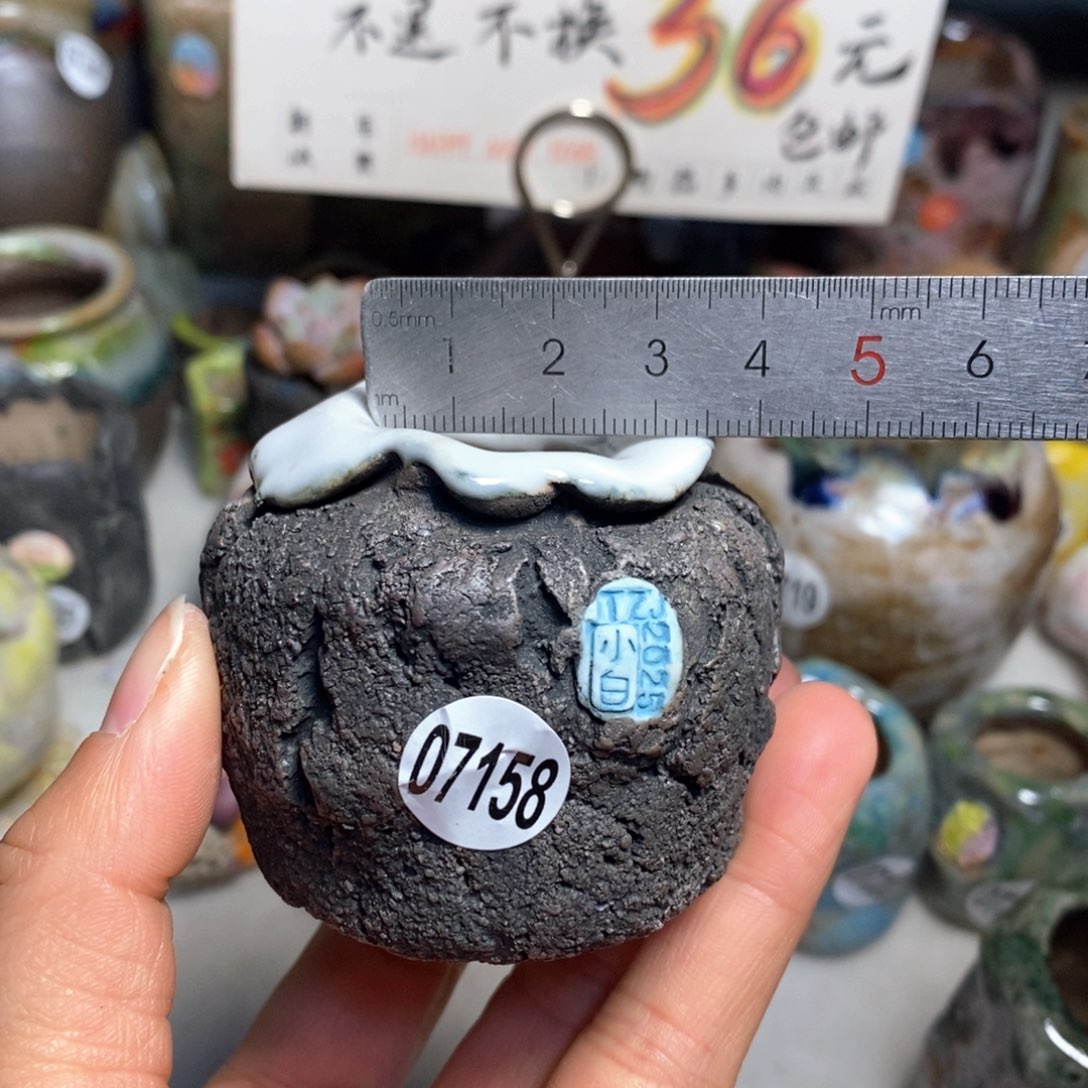 花盆拍3送一个小礼物