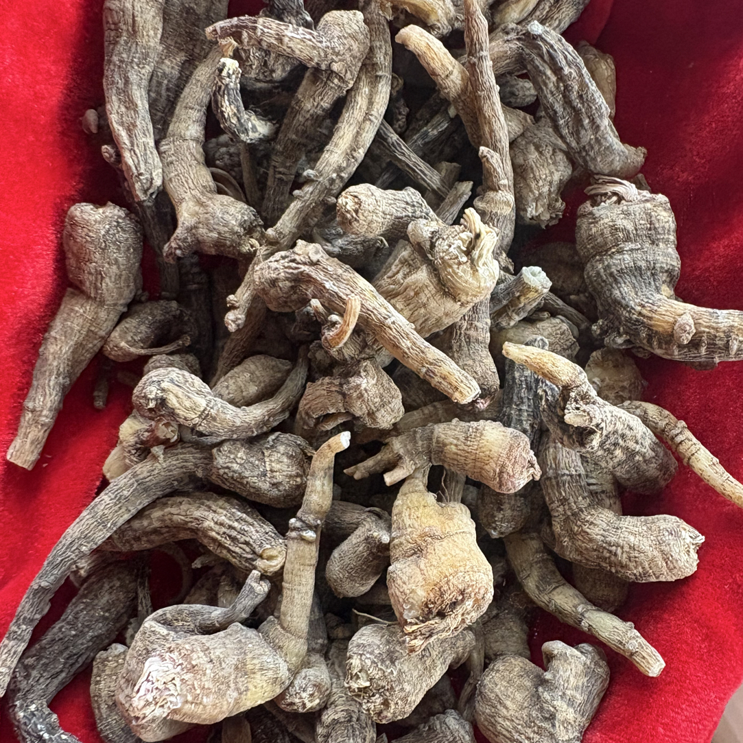 云南山货[老-山-参]参传统滋补品250克