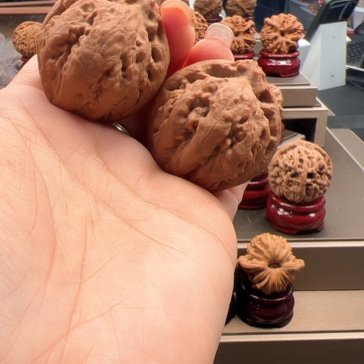 把件文玩核桃36 霸王龙 t-001