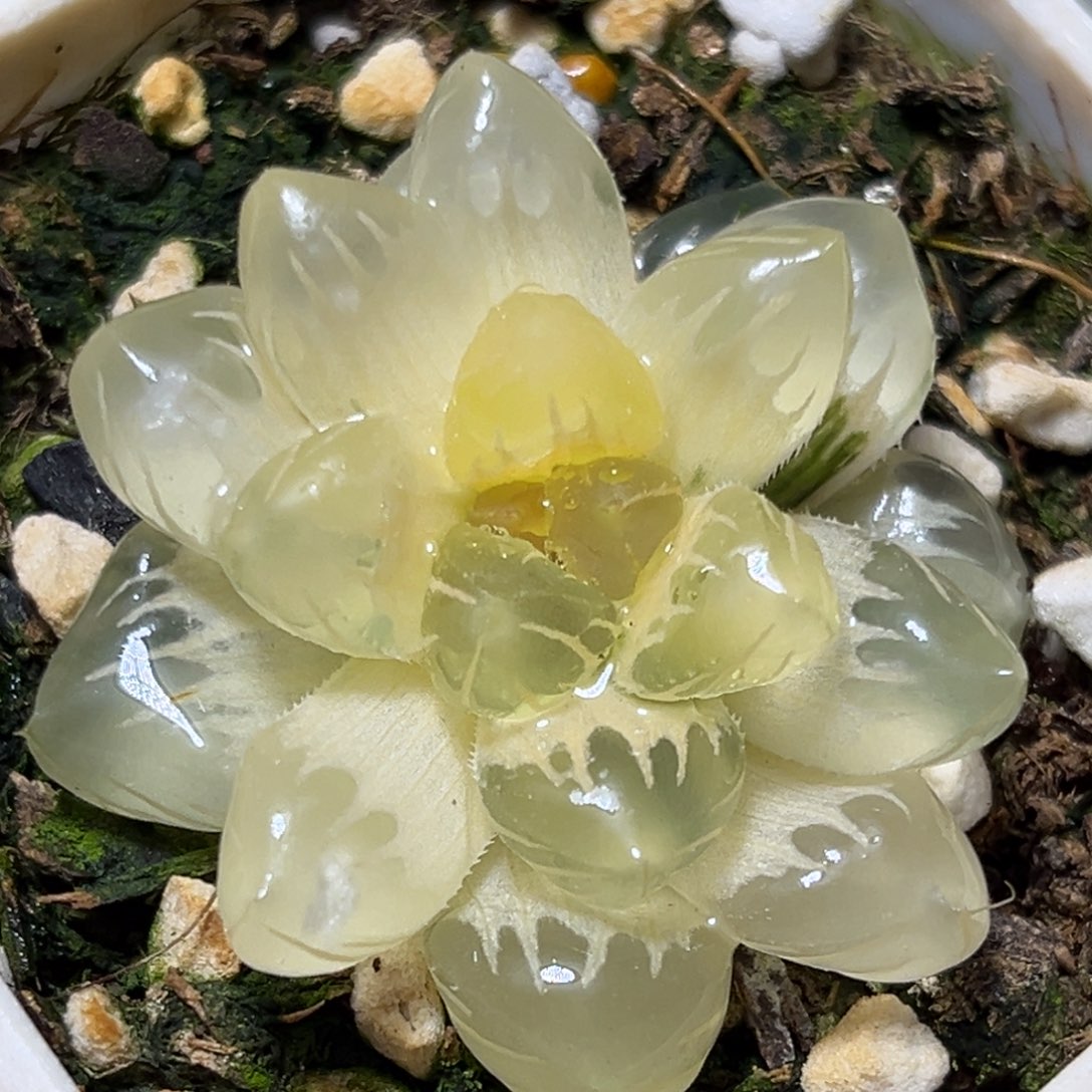 恭喜发财大吉大利0019