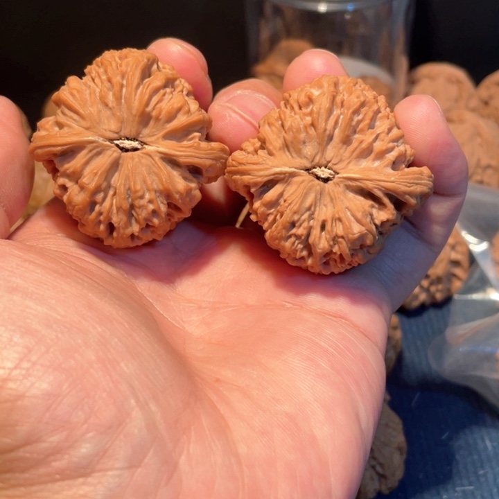 文玩核桃把件✔**✔42南疆石