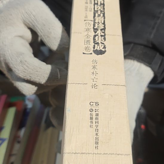 伤寒补亡论平装（务必塑封）微瑕