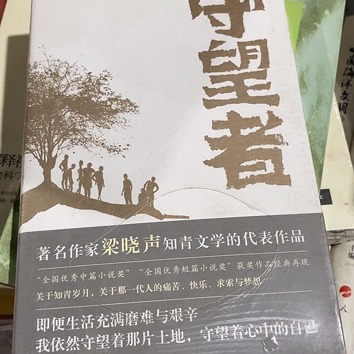守望者陈老师的书