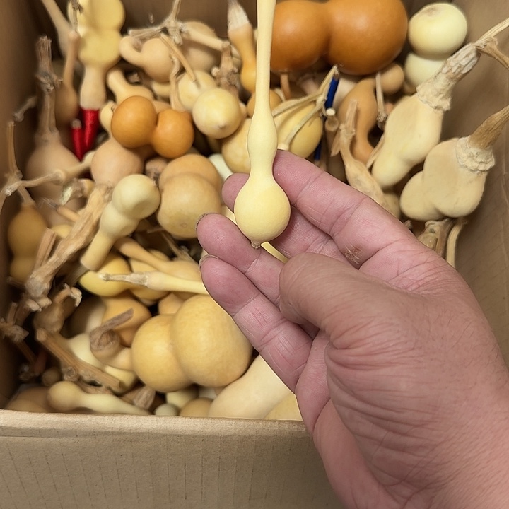 蚂蚁杆子喜欢下单