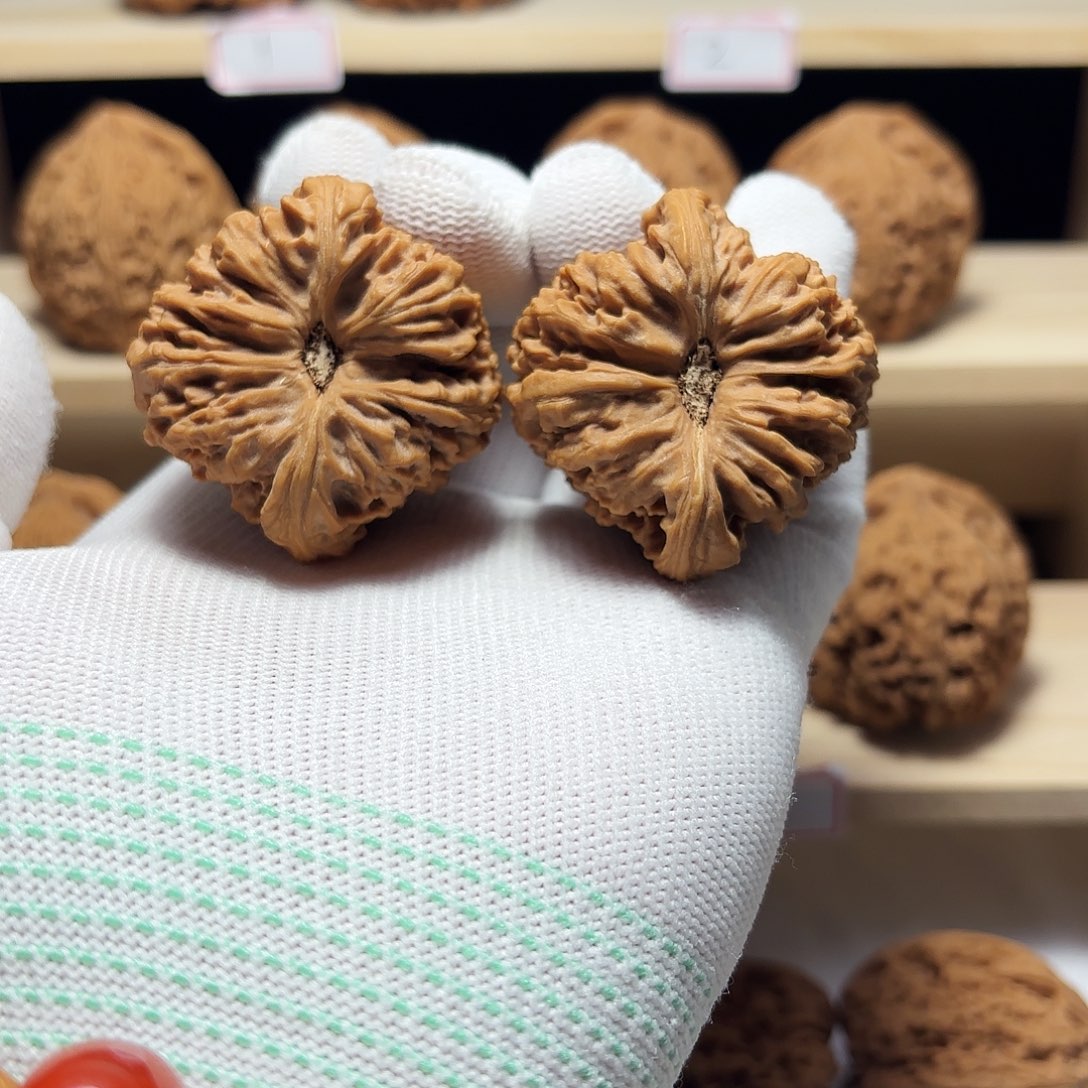 文玩核桃把件福**满涿鹿南将高炮