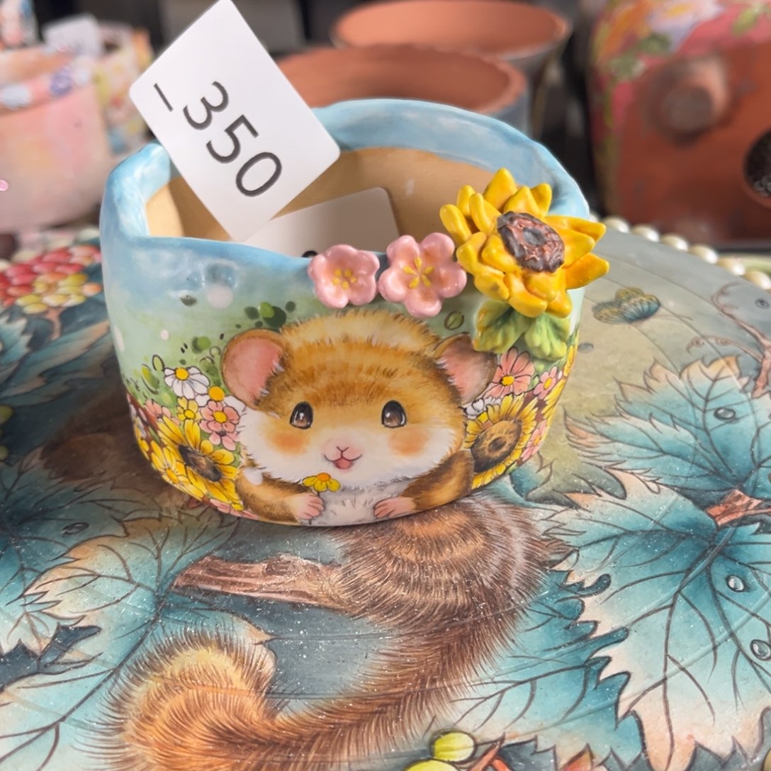 瑶****350多肉花盆   1个