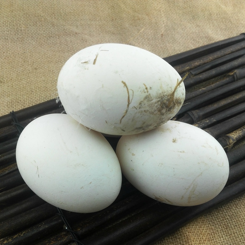 【鹅蛋】农家自养兴国灰鹅蛋兴国乡村土货