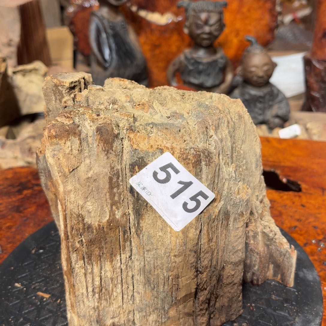 大果紫檀（缅甸花梨）