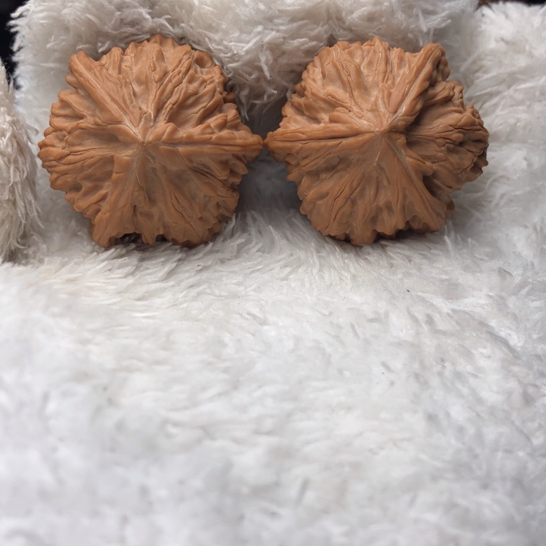 文玩核桃把件御龙3棱36