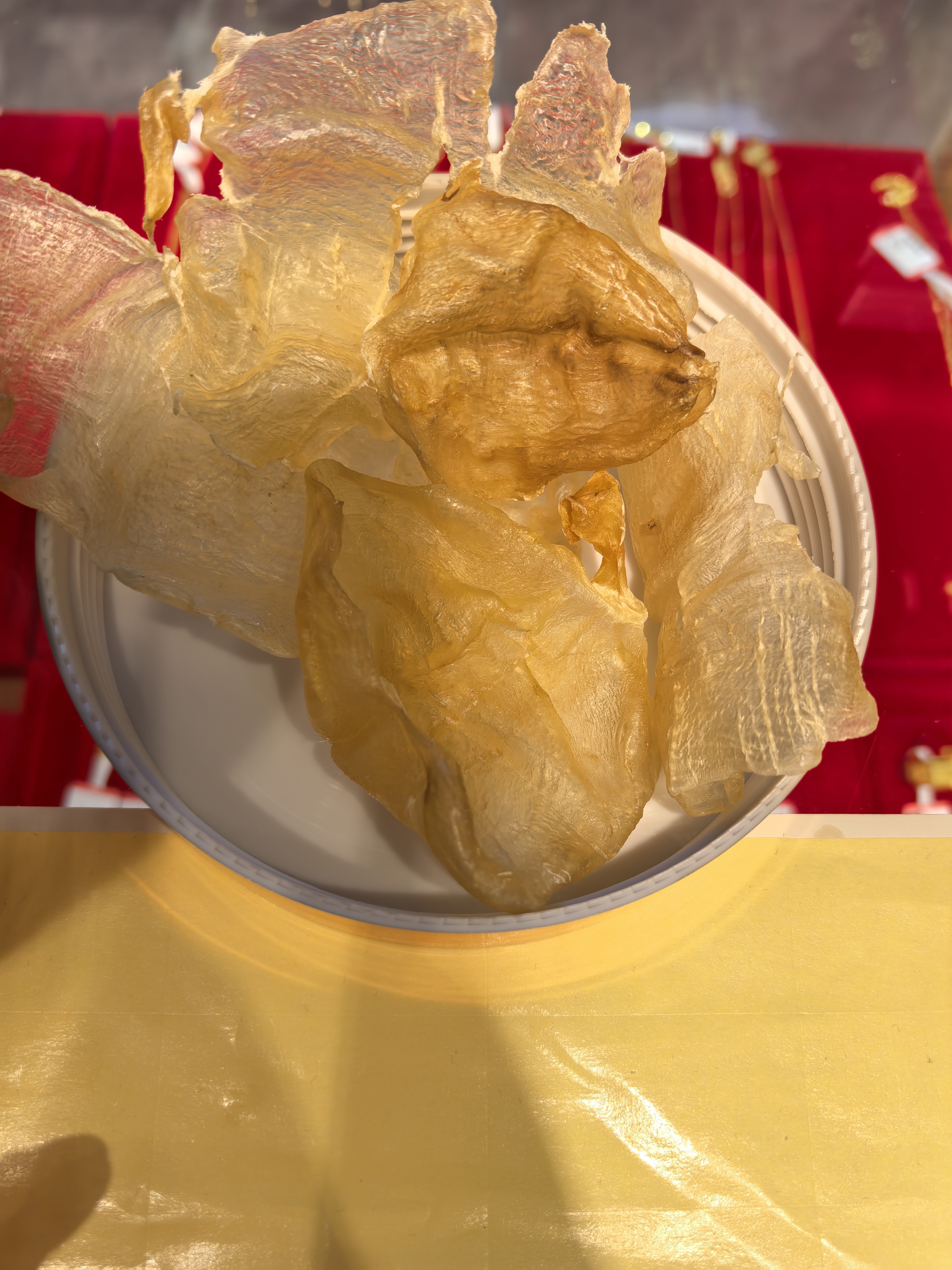 广东汕头加州白花鱼胶半斤