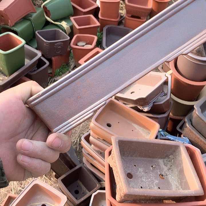 紫砂我要不明天要回家不