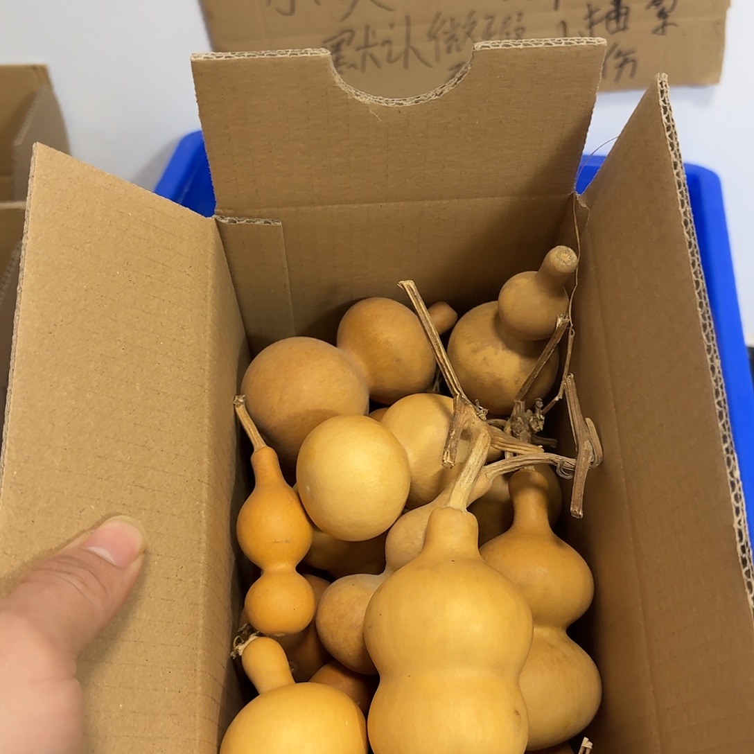 唐***唐伤瑕通货处理不保全品