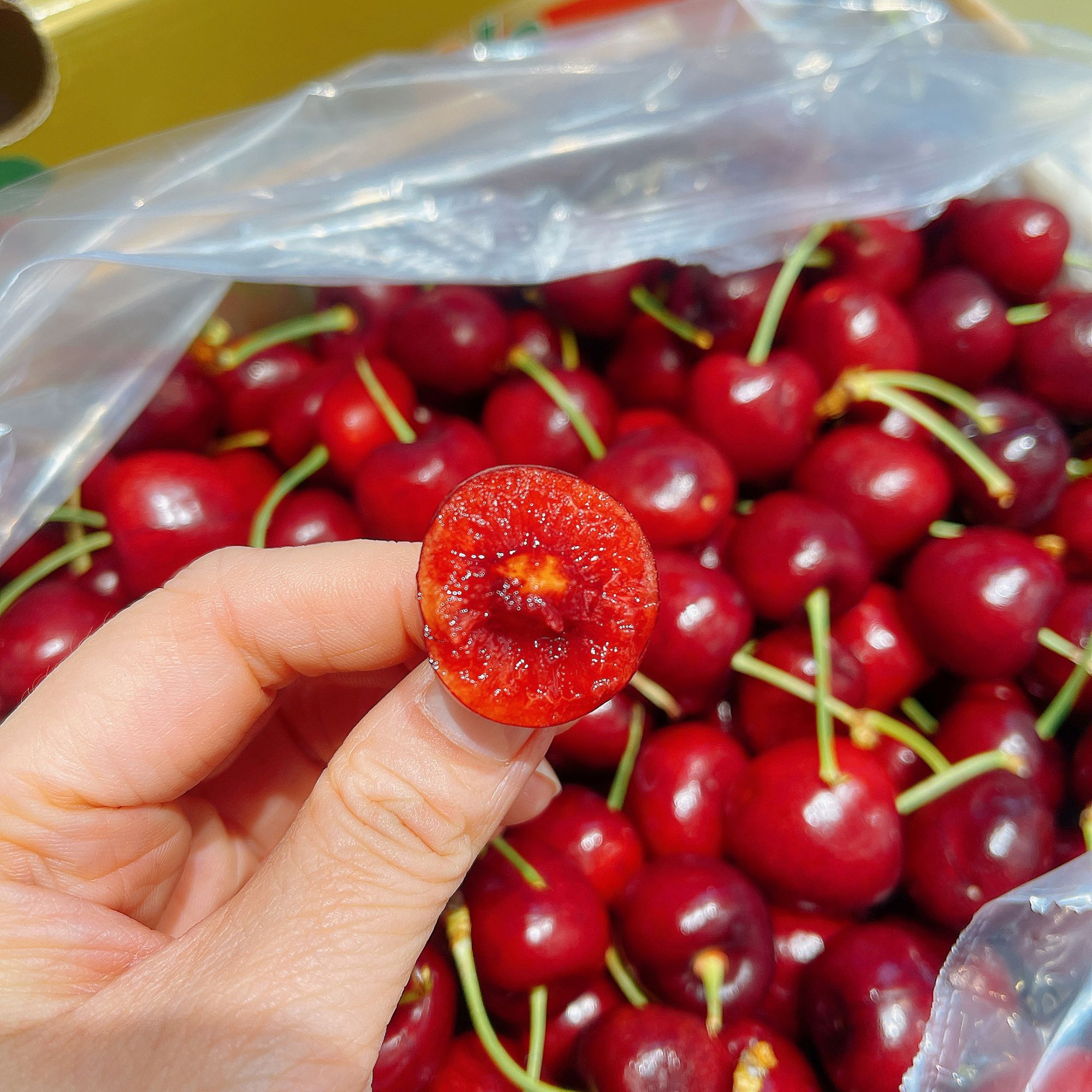 空运桑提娜J车厘子1件2.5kg拉宾斯智利