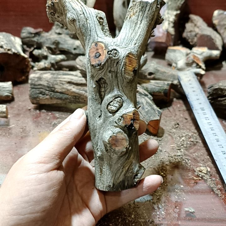 ****工香榧木崖柏原叉崖柏原叉崖柏原叉