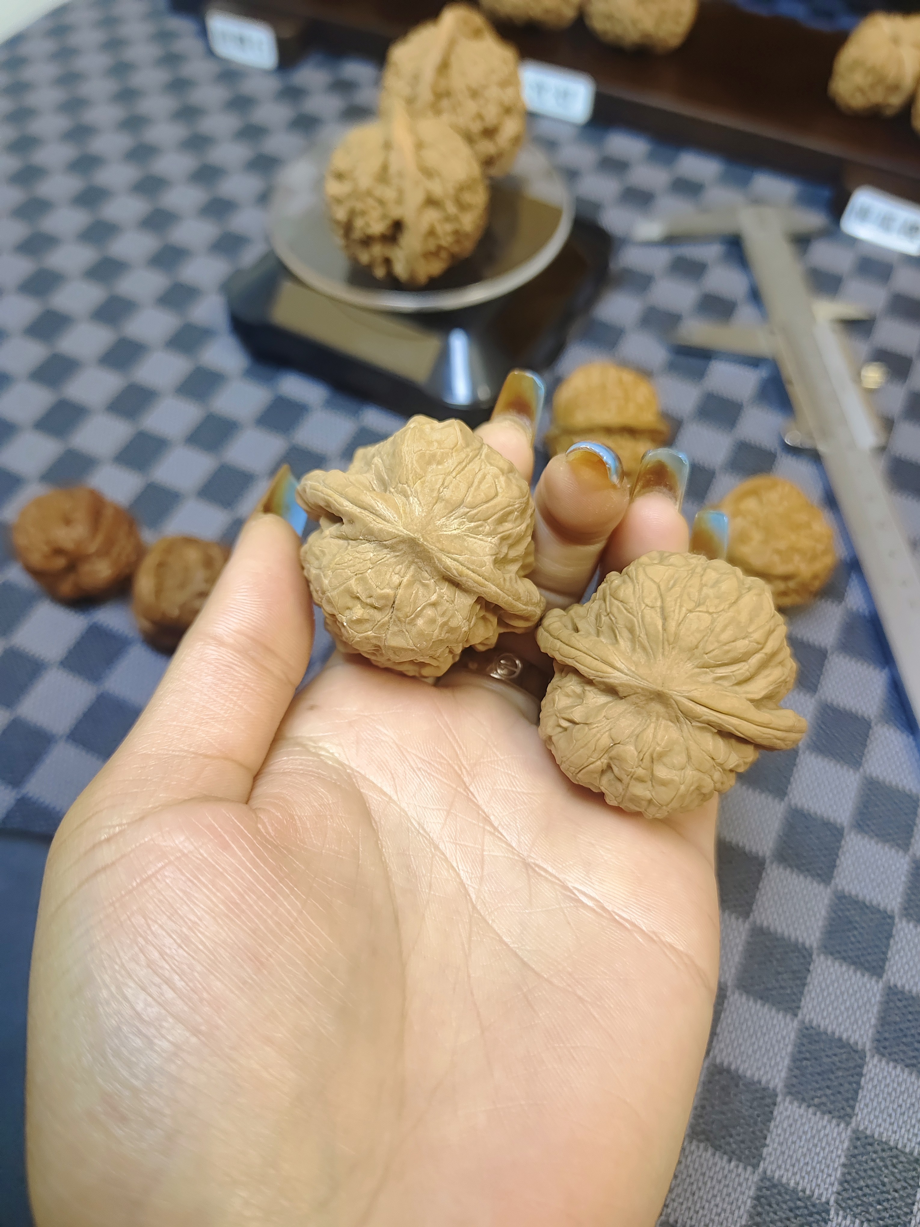 达摩狮子头文玩核桃
