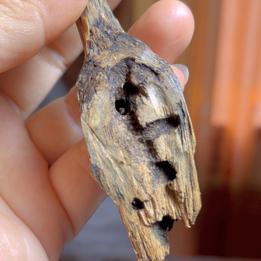 沉香沉香碎屑虫漏块料14克