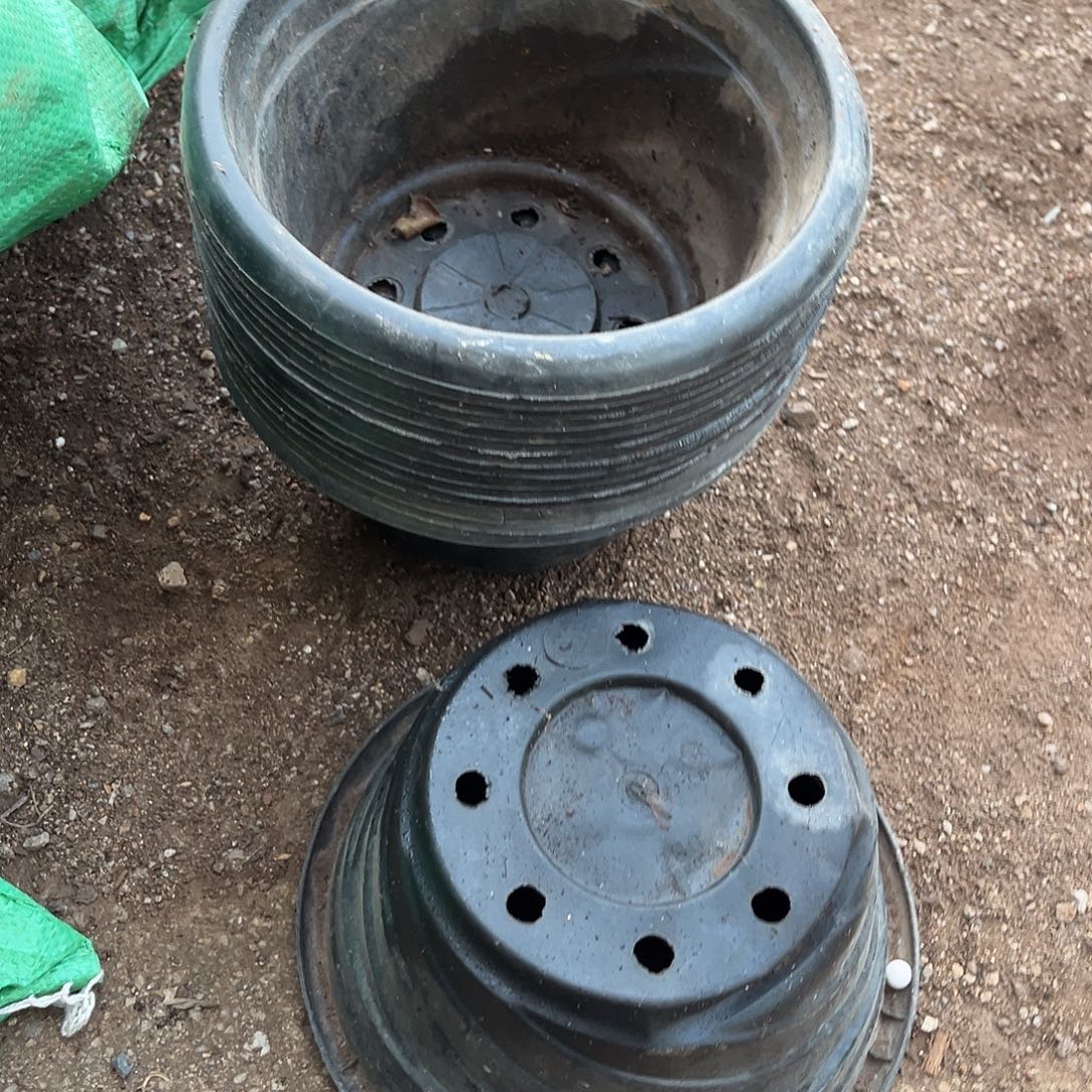 旧口径21高12黑圆盆20个