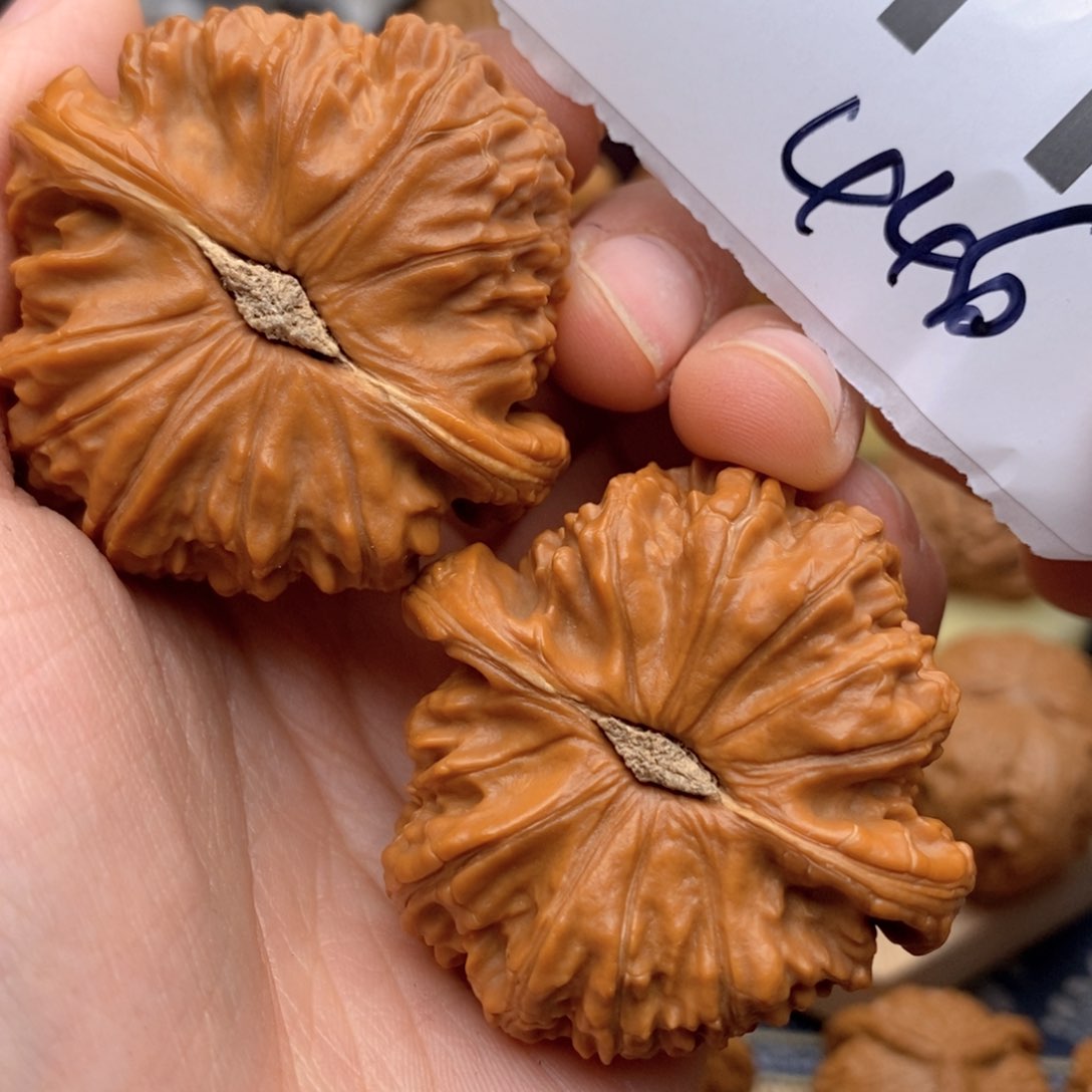 文玩核桃把件311号44白