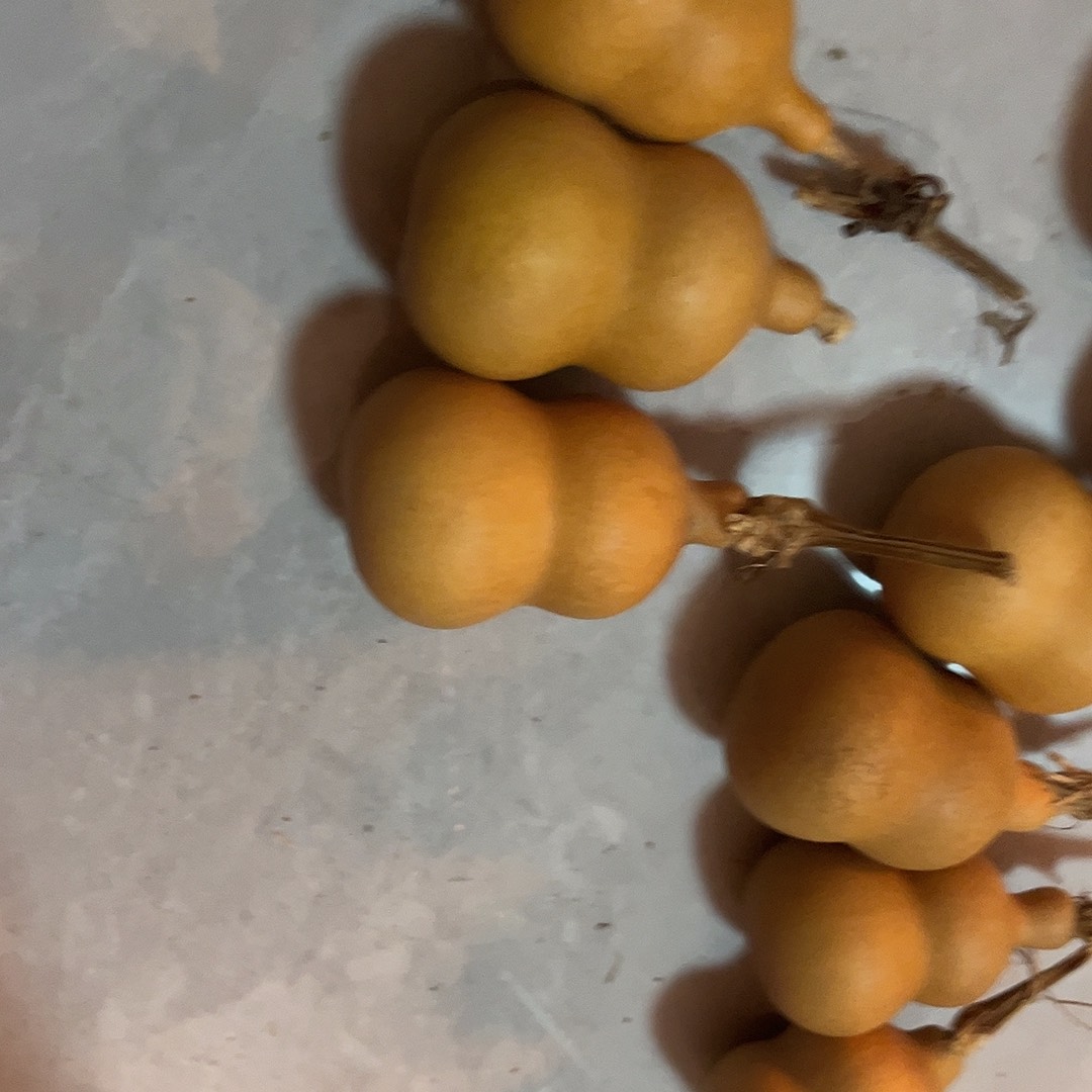 小***尸八宝胖墩专属链接