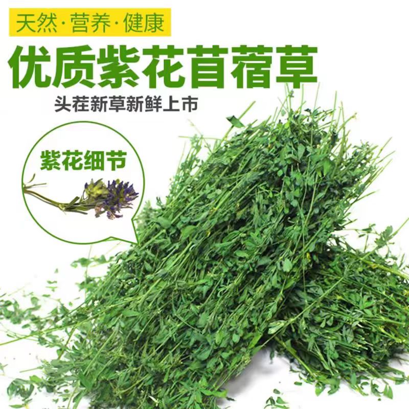 苜蓿草兔子粮草苜蓿草食用草兔粮龙猫粮食腊肉粮草干草苜宿草750g