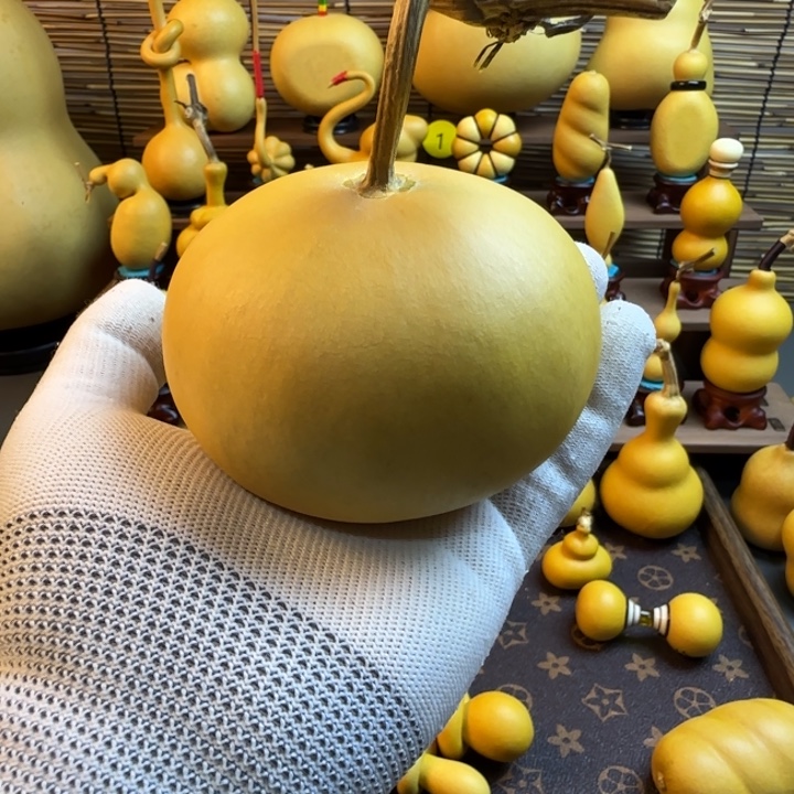 哈****葫芦哈哈哈哈哈哈