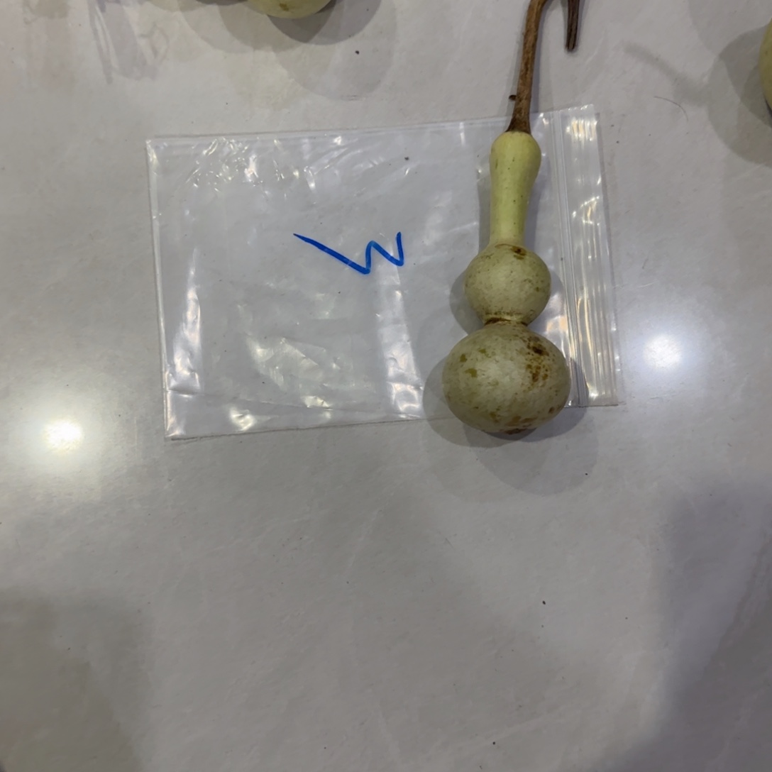 笑***生青皮不包成青皮不包成