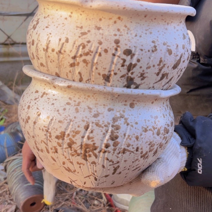 红陶口径 高度 花盆