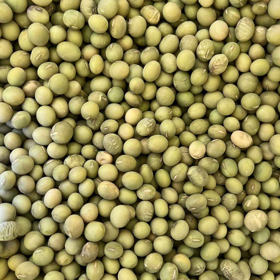 湖南湘西农家青皮小黄豆