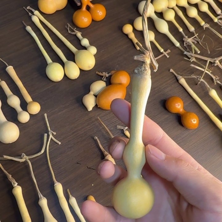 用***9精品八宝杆子周正