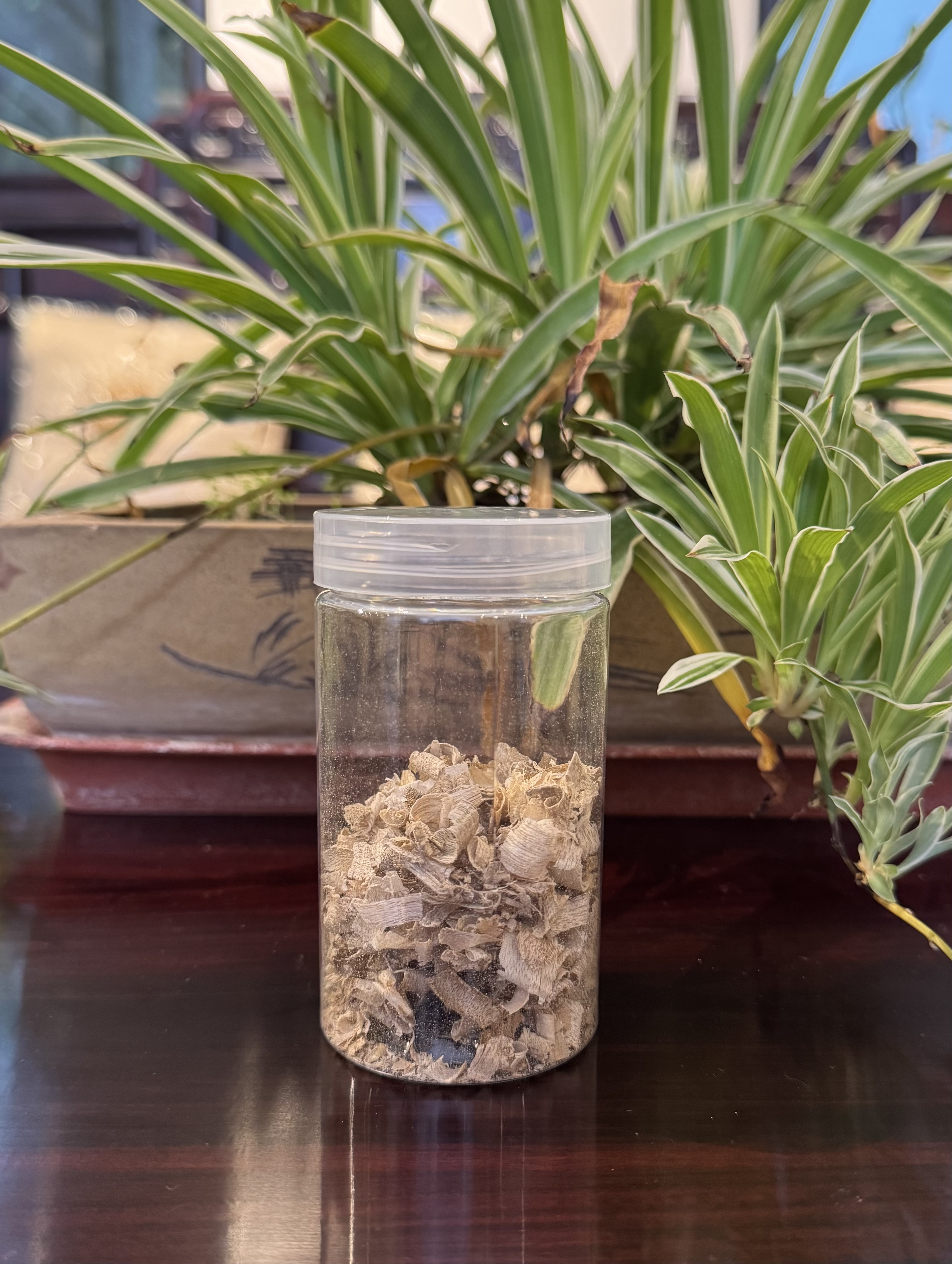 沉香DM3A(鼎升大小姐优选)碎屑（随型料发任其一）