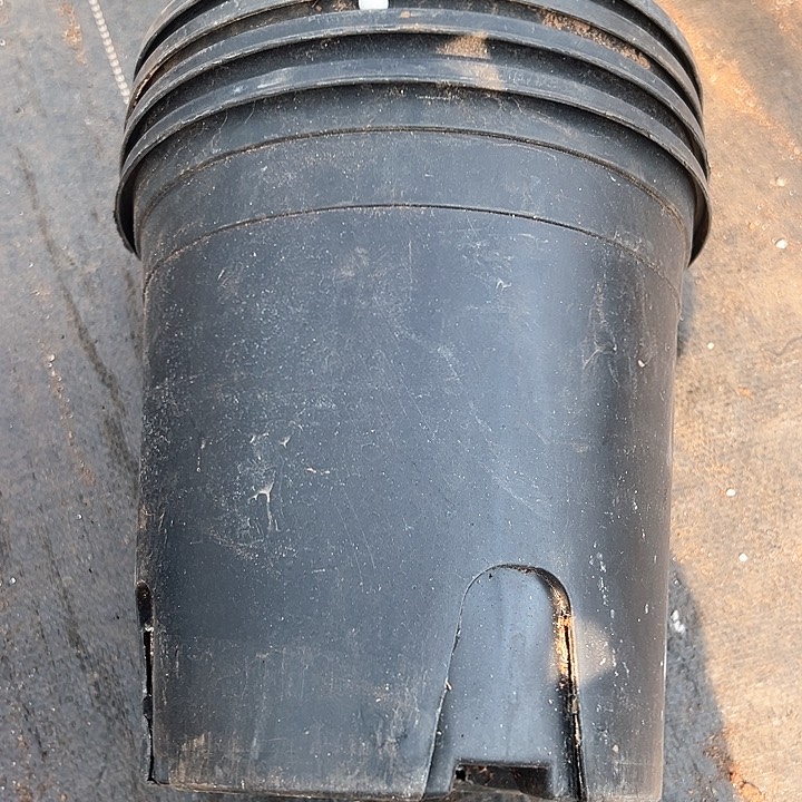 塑料口径22.5高度21.5黑加仑一组6个