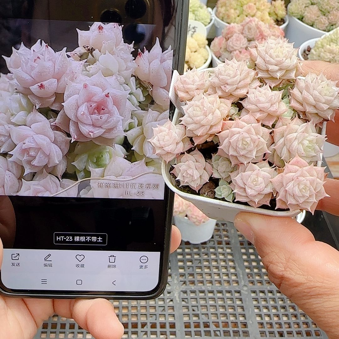 1221-10（ht-23）优选