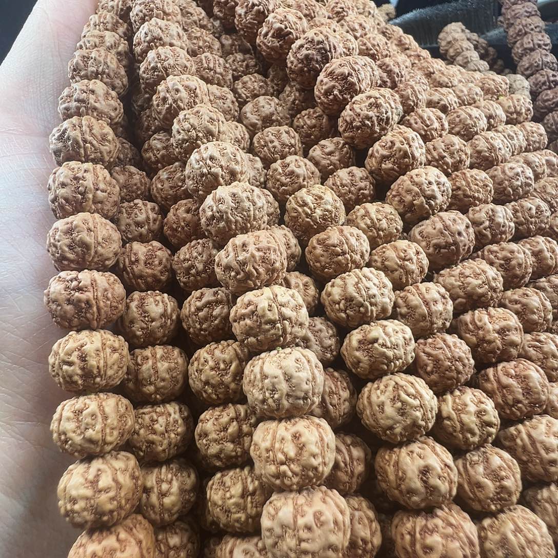 吊坠金刚菩提飞碟肉梅花12m，一条保手持