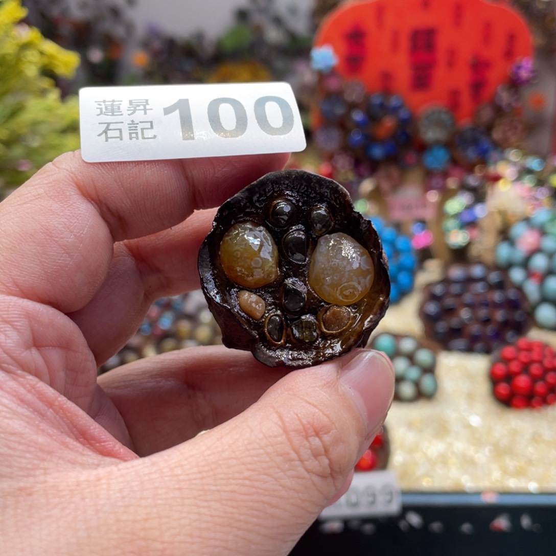 核桃木/黑胡桃（胡桃木）100