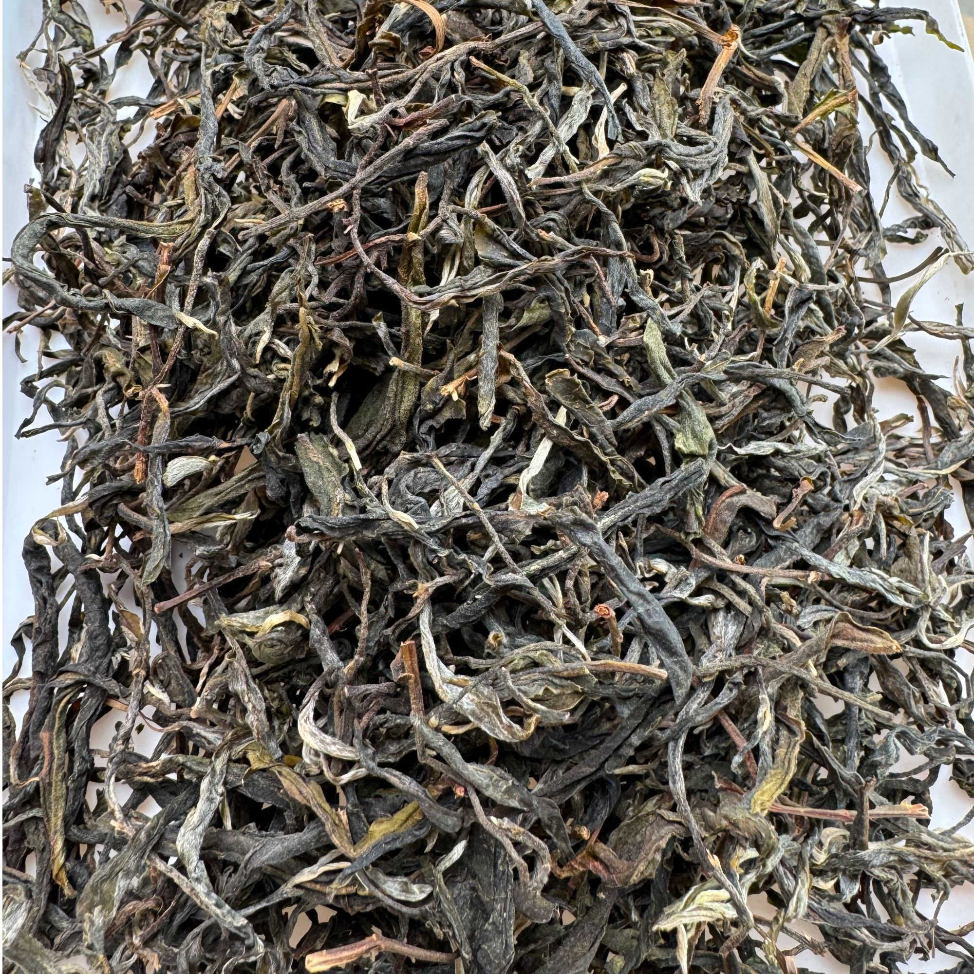 2025年·头春【昔归忙麓山·大树·生茶】普洱散茶