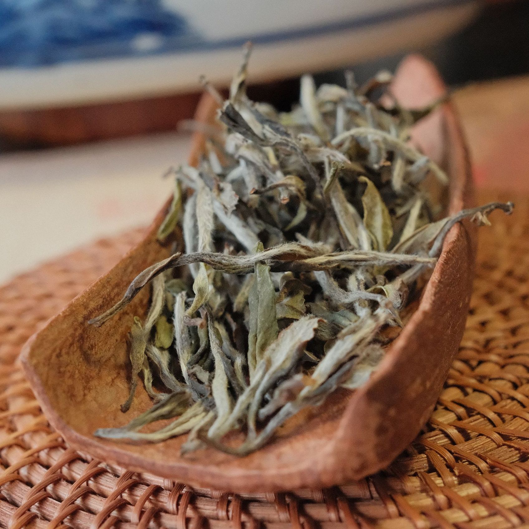 福鼎白牡丹 2019年一级白牡丹白茶 50g品鉴装