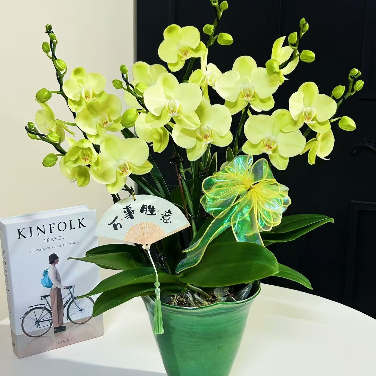 【日光浴】3.0寸根系不错 精品大壮苗  包对版