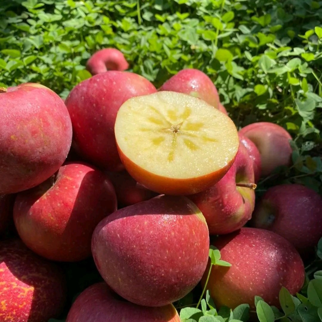 9斤重整箱装大果 