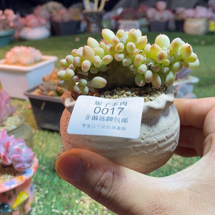 0015啊啊啊啊啊啊啊啊啊啊