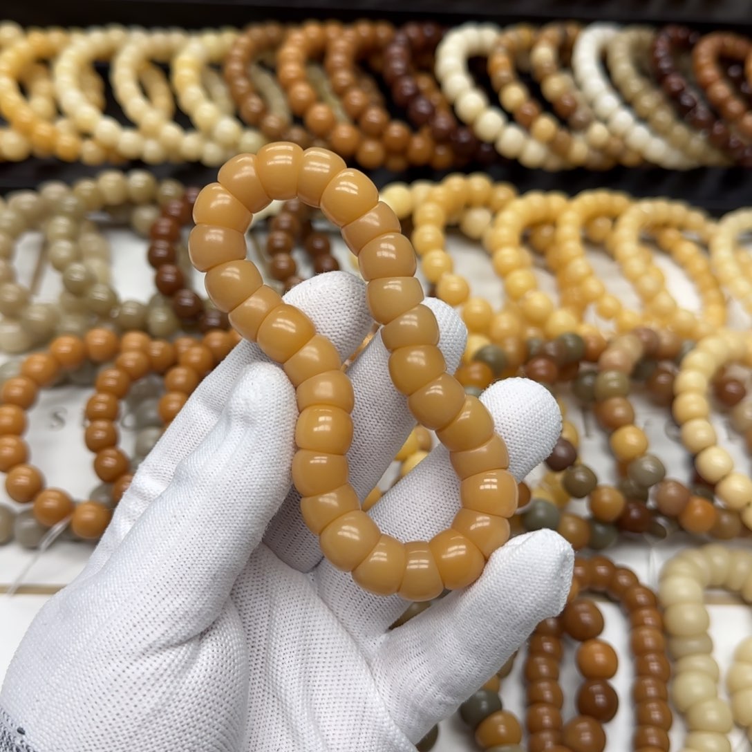 【闪购商品】菩提根/象牙果吊坠卡12 大肠 5年