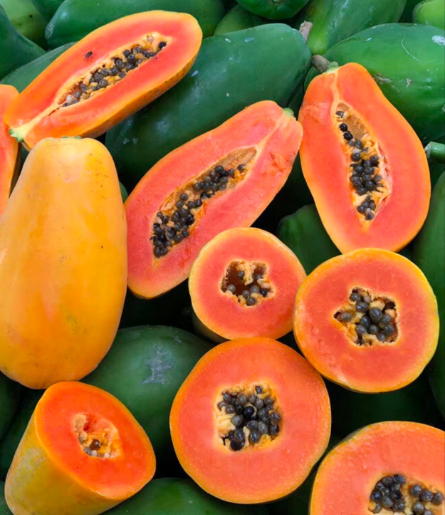 海南精品牛奶木瓜 1个